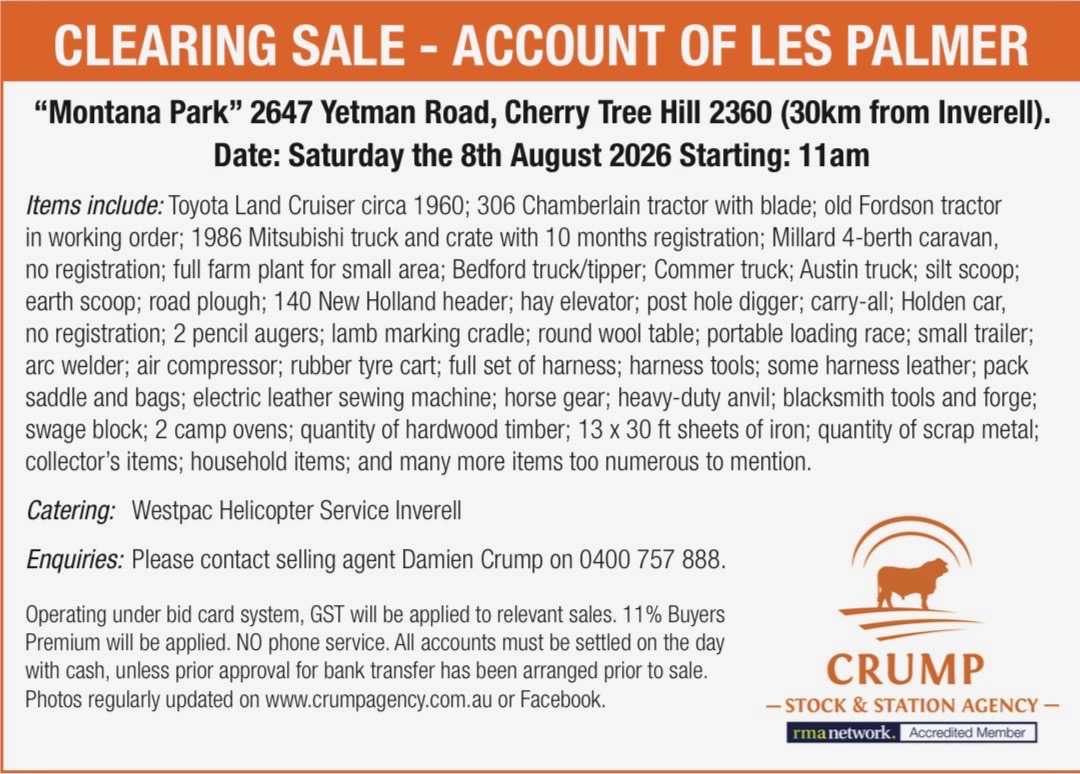 Montana Park Clearing Sale - Cherry Tree Hill